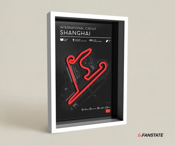 Shanghai - Framed 3D Track