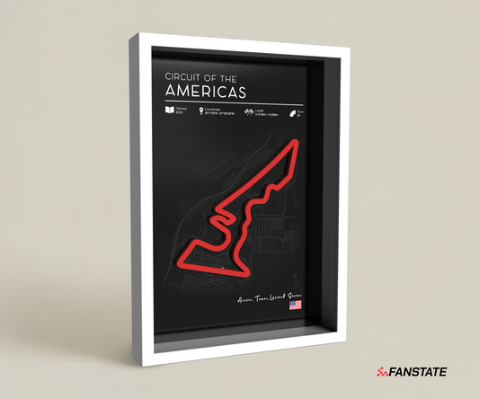Americas - Framed 3D Track